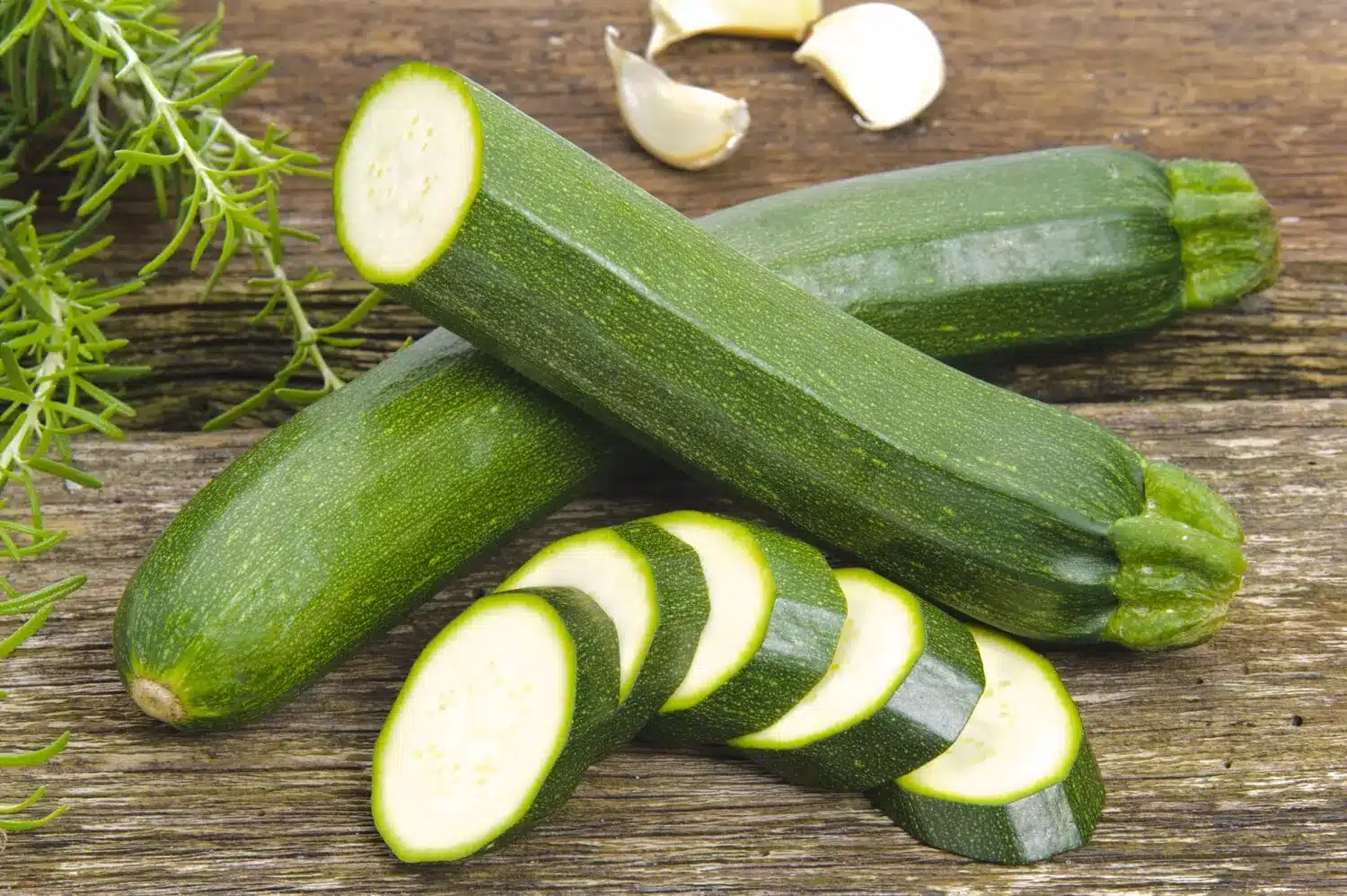 plants de courgette