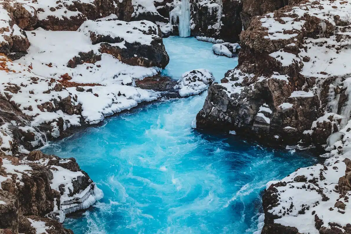 oasis hivernal