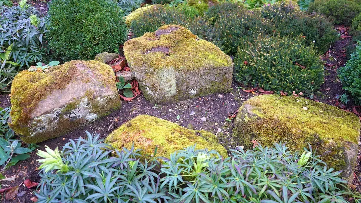 jardin naturel