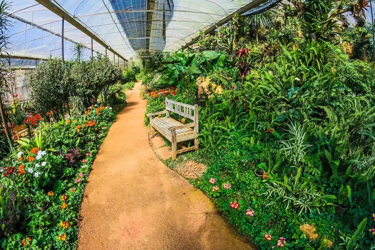 serre jardinage
