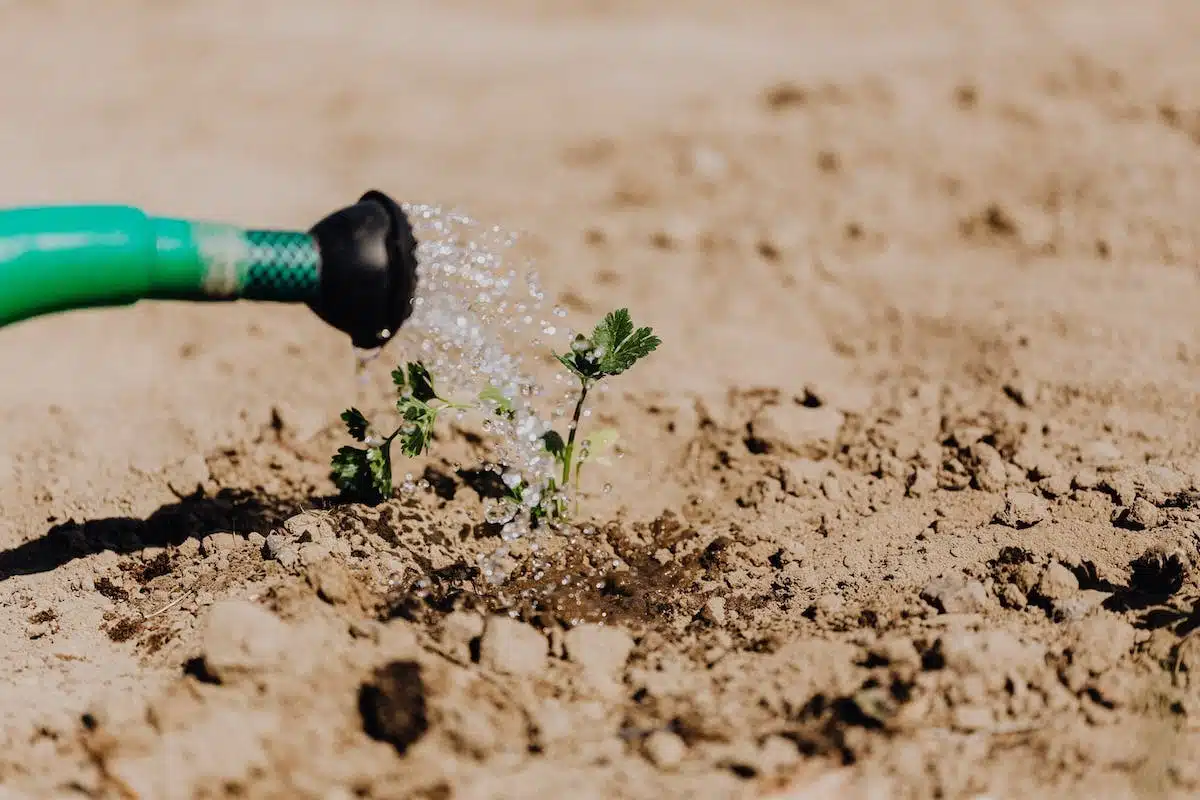 système irrigation
