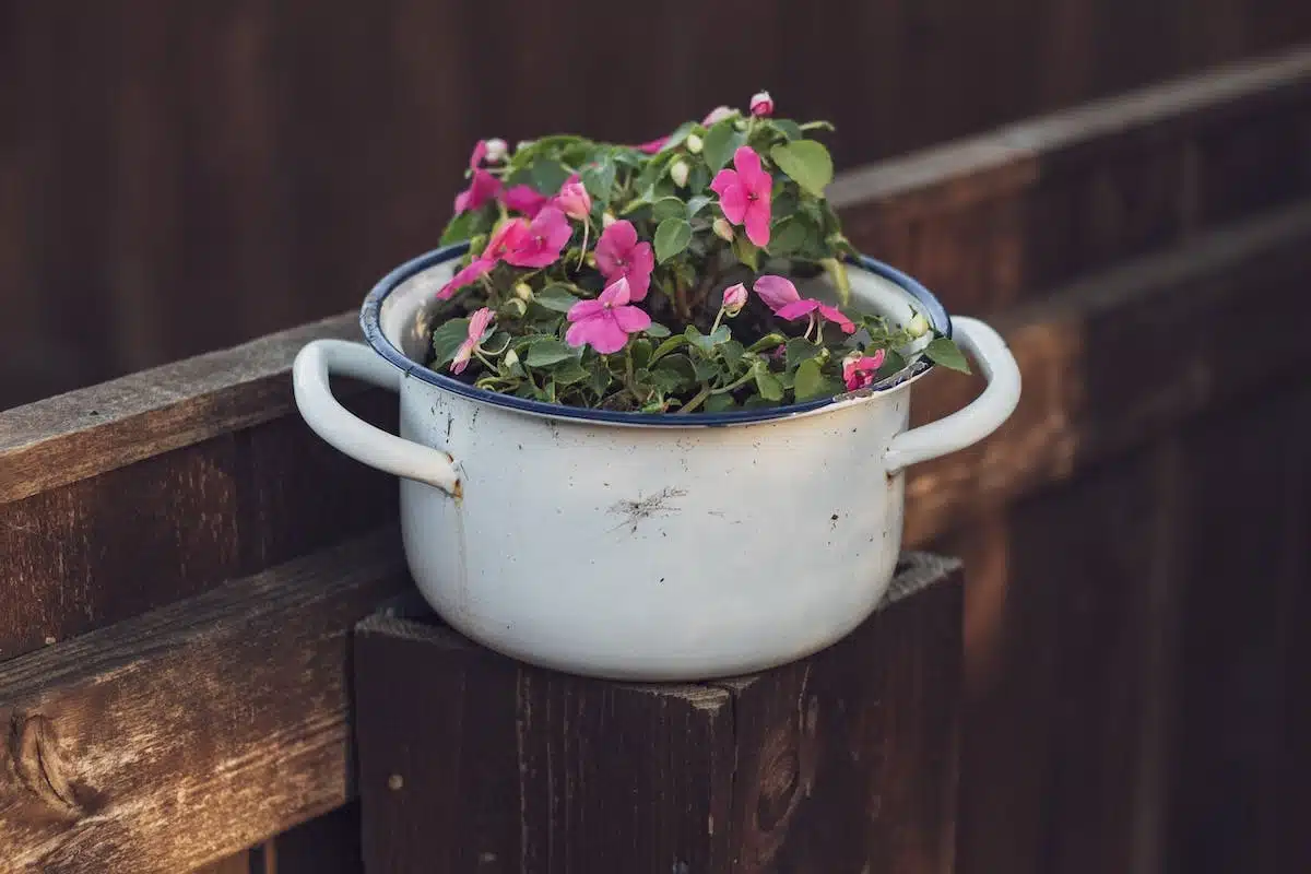 pots fleurs