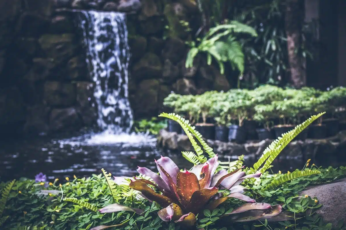 jardin  inspiration