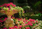 Jardin fleuri
