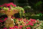 Jardin fleuri