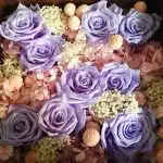 Revivez la nostalgie les roses de baby boomer et leur symbolisme unique