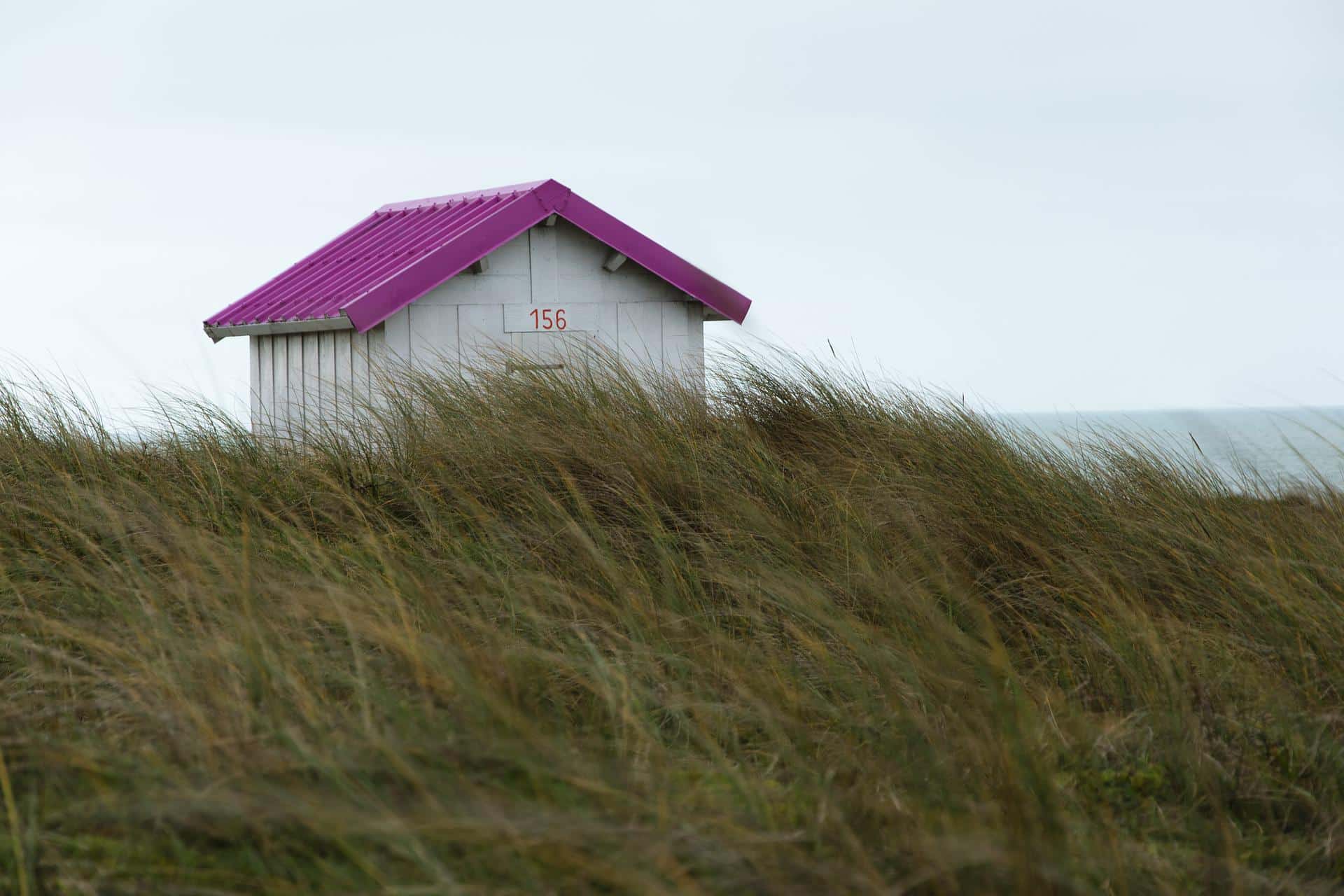 Comment bien isoler un cabanon ? L’Herbe sous le Pied