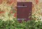 a door with a handle