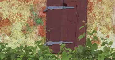 a door with a handle