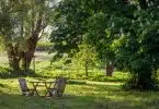 brown wooden bench under green tree during daytime
