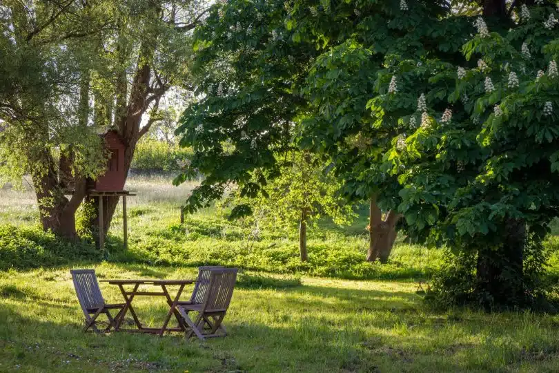 brown wooden bench under green tree during daytime