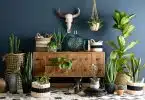 décoration naturelle et élégante