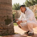 Technicien en combinaison de protection appliquant un traitement chimique contre le papillon du palmier sur un palmier dans un jardin méditerranéen